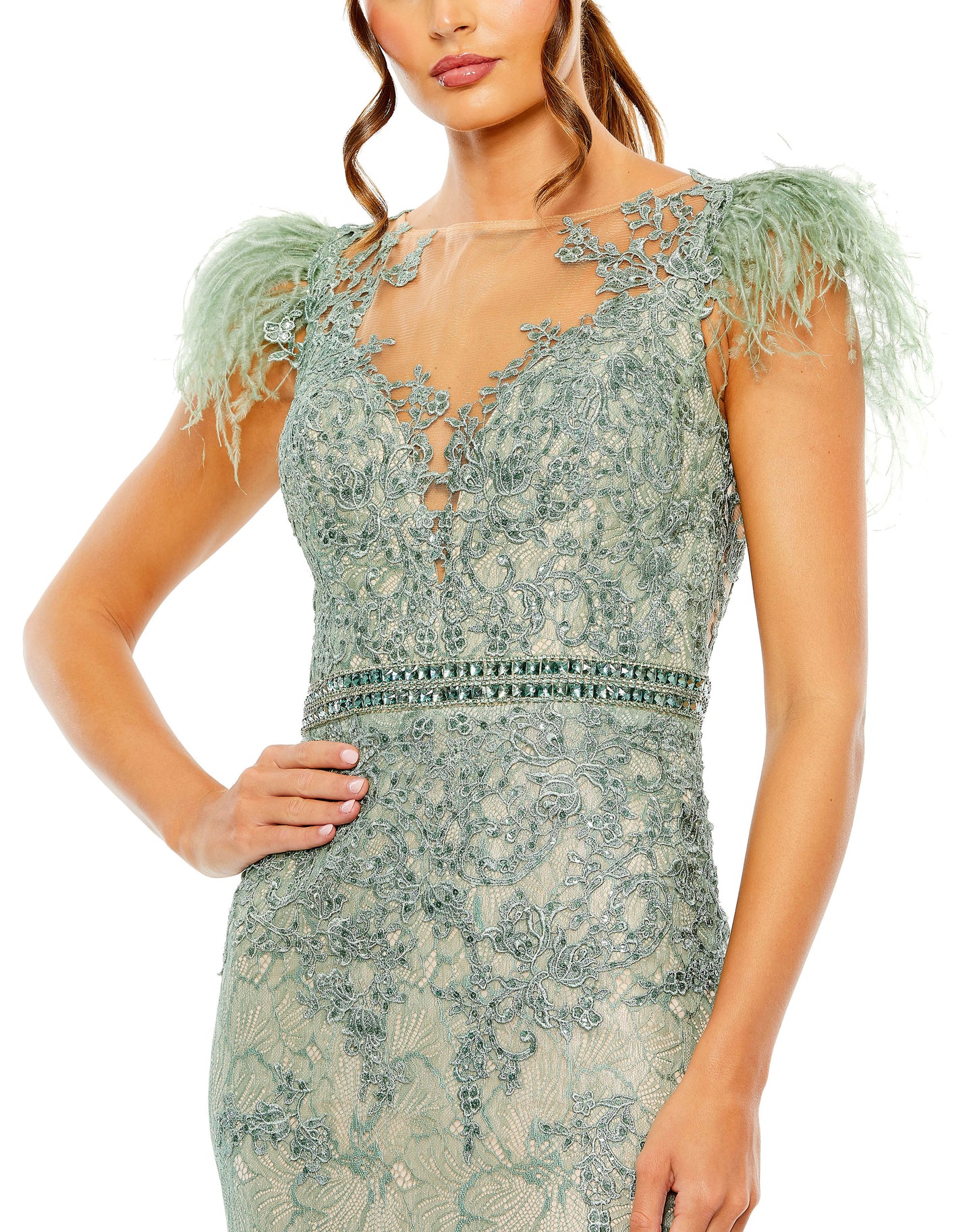 Embellished Feather Cap Sleeve Illusion Neck Trumpet Gown