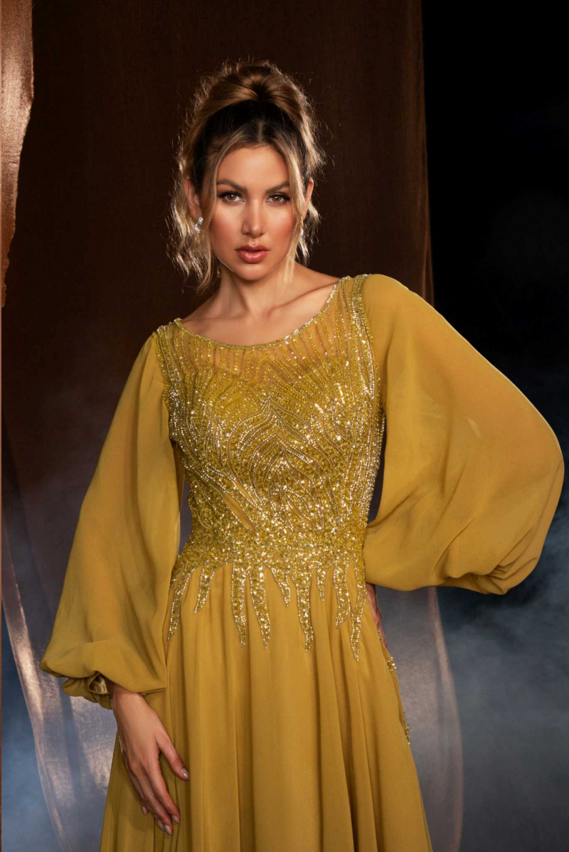 Long balloon sleeves beaded gown