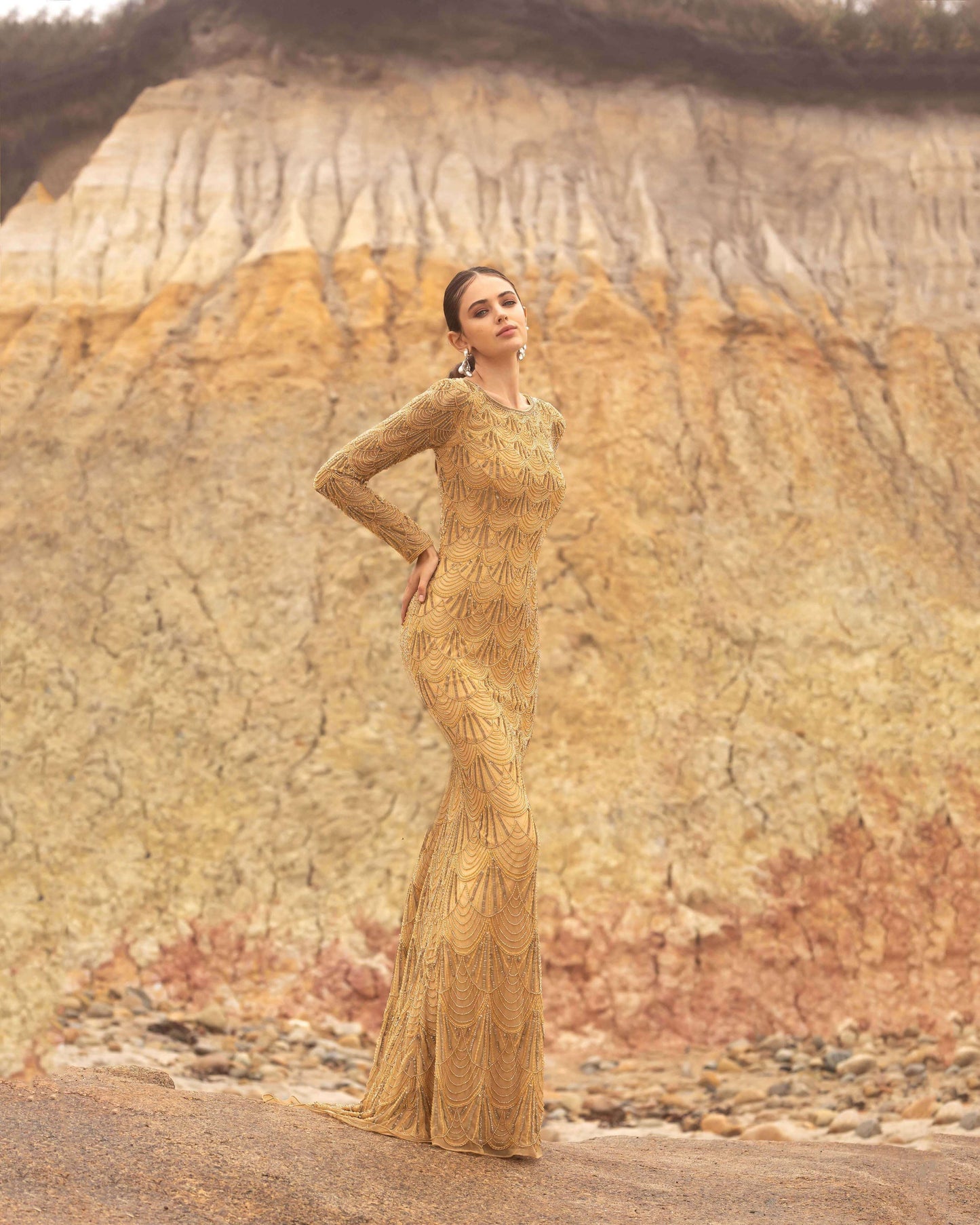 Primavera Style#3678, Long Sleeve Beaded Gown, beaded,Floor Length,long sleeve,Sequin, $570.00