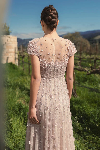 Embellished Lace Illusion Neck A-Line Gown