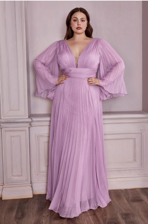 Pleated Chiffon Long Sleeve Gown