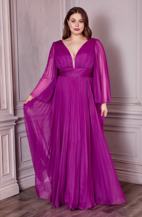 Pleated Chiffon Long Sleeve Gown