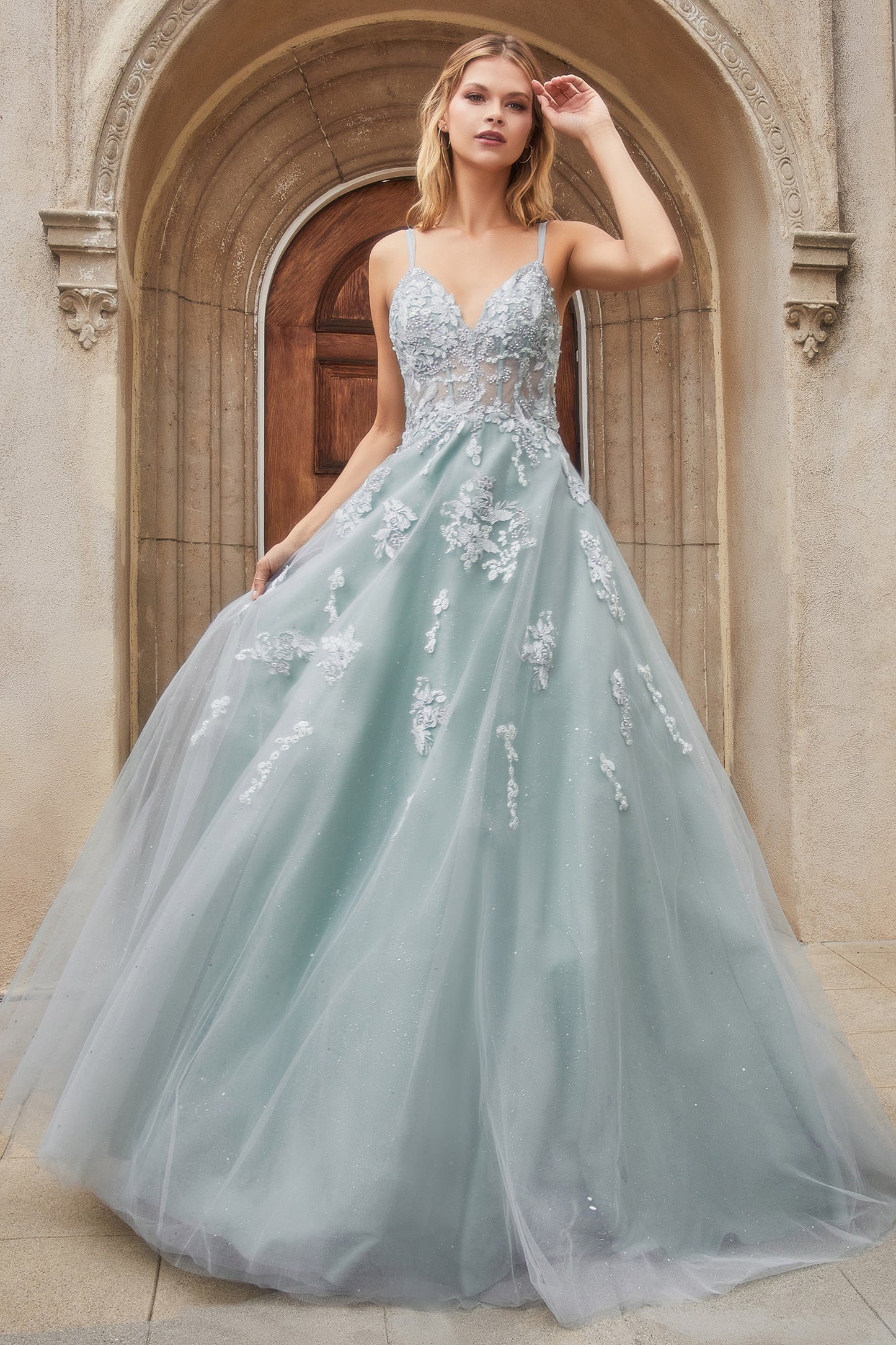 Floral Embroidered Sophia Ball Gown