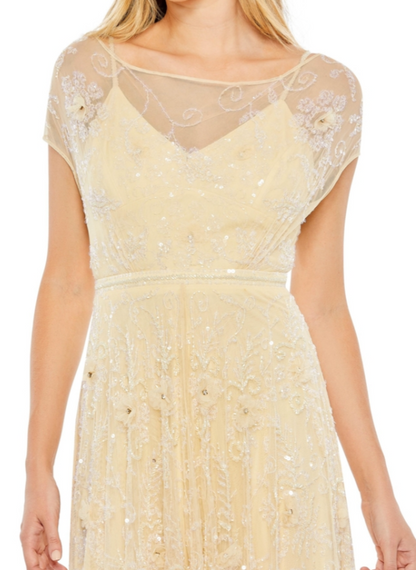 Embellished Ilusion Cap Sleeve Gown
